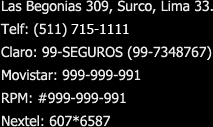 Dirección: Las Begonias 309, Surco, Lima 33, Perú. Teléfono: (511) 247-8389